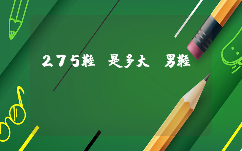 275鞋碼是多大碼男鞋插圖