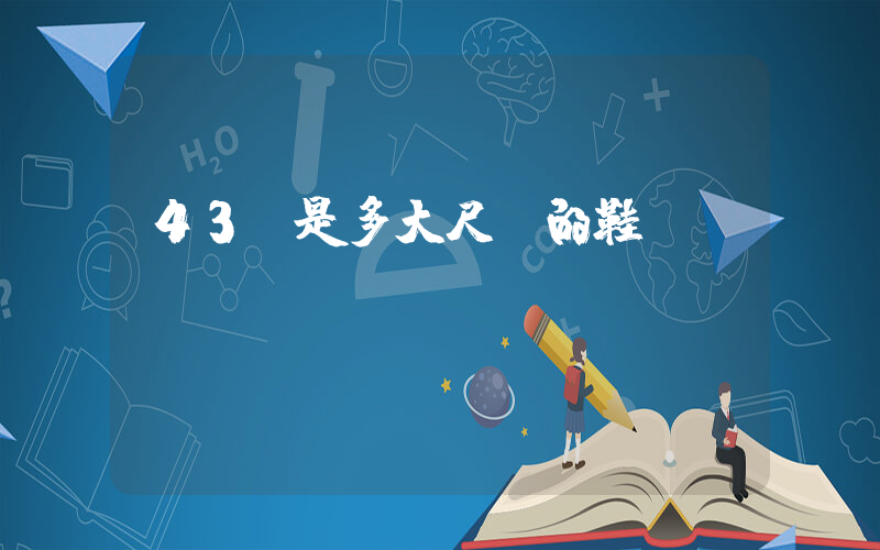 43碼是多大尺碼的鞋插圖