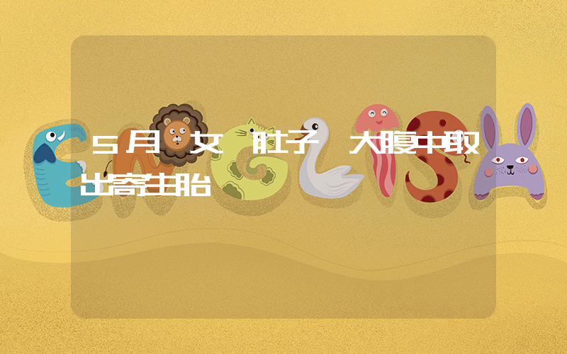 5月齡女嬰肚子變大腹中取出寄生胎插圖