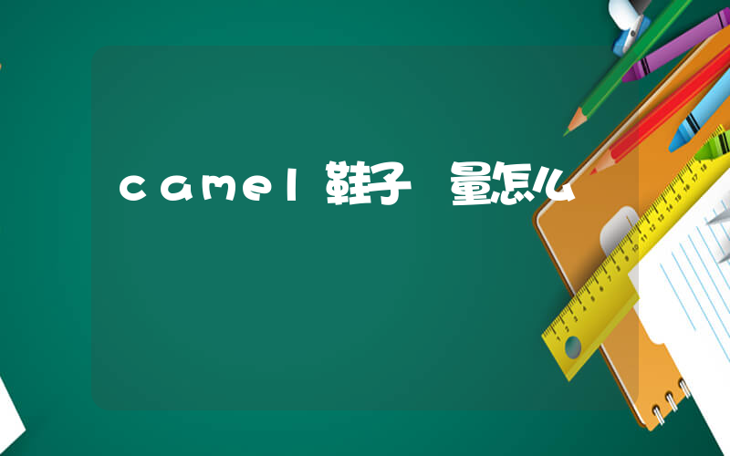 camel鞋子質量怎么樣插圖