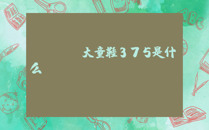 nike大童鞋375是什么碼插圖