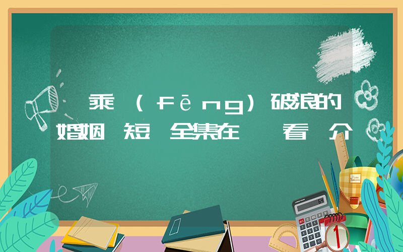 《乘風(fēng)破浪的婚姻》短劇全集在線觀看簡介插圖