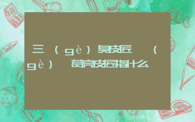 三個(gè)臭皮匠頂個(gè)諸葛亮皮匠指什么插圖