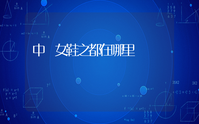 中國女鞋之都在哪里插圖