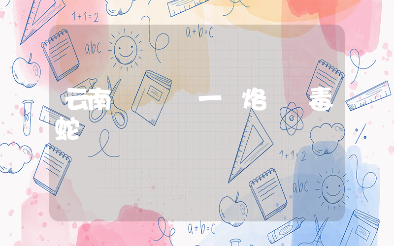 云南騰沖發現一窩烙鐵頭毒蛇插圖