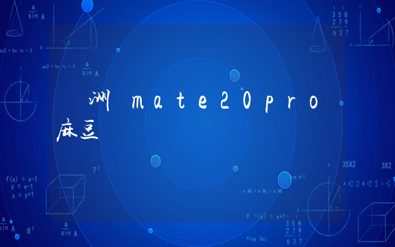 亞洲無mate20pro麻豆插圖