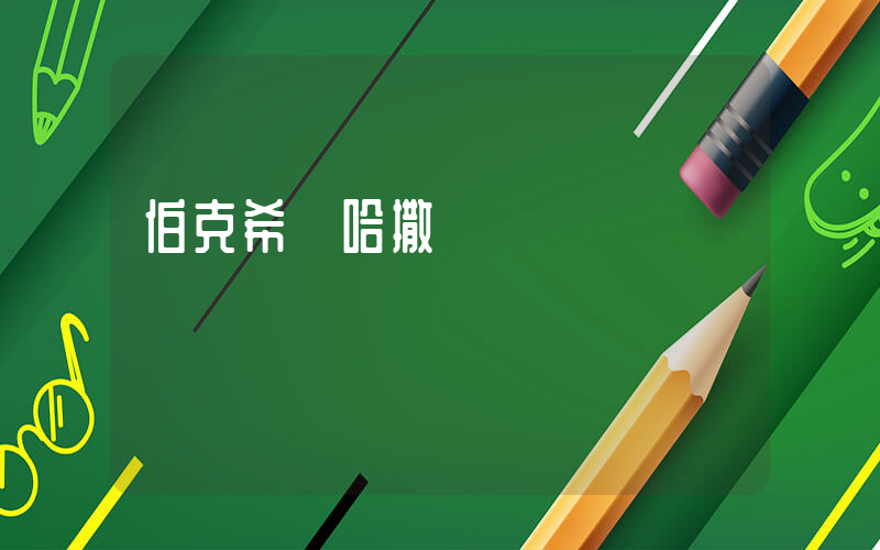 伯克希爾哈撒韋插圖