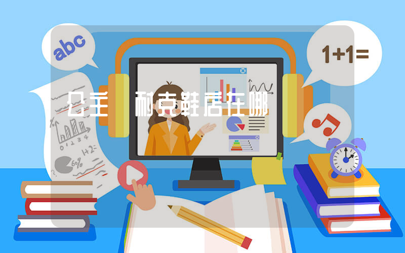 公主嶺耐克鞋店在哪插圖