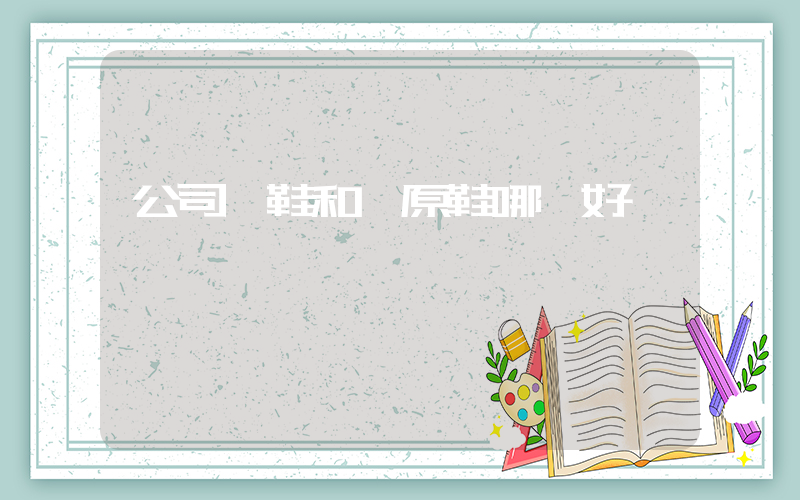 公司級鞋和純原鞋哪個好插圖
