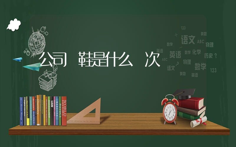 公司級鞋是什么檔次插圖