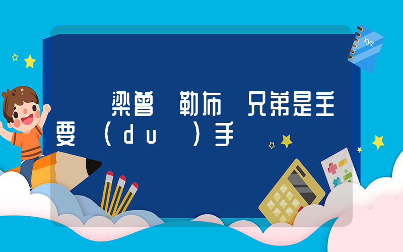 劉國梁曾稱勒布倫兄弟是主要對(duì)手插圖