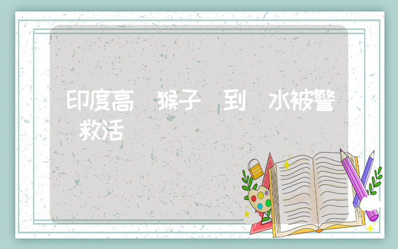 印度高溫猴子熱到脫水被警員救活插圖