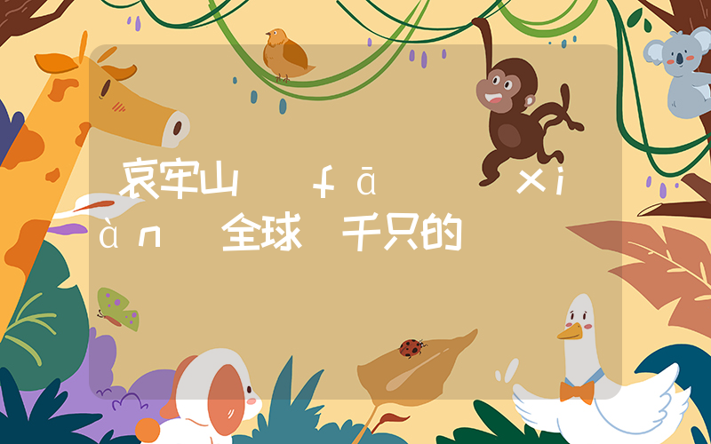 哀牢山發(fā)現(xiàn)全球僅千只的鳥插圖