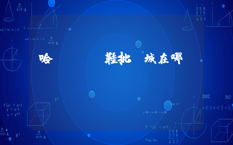 哈爾濱運動鞋批發城在哪插圖