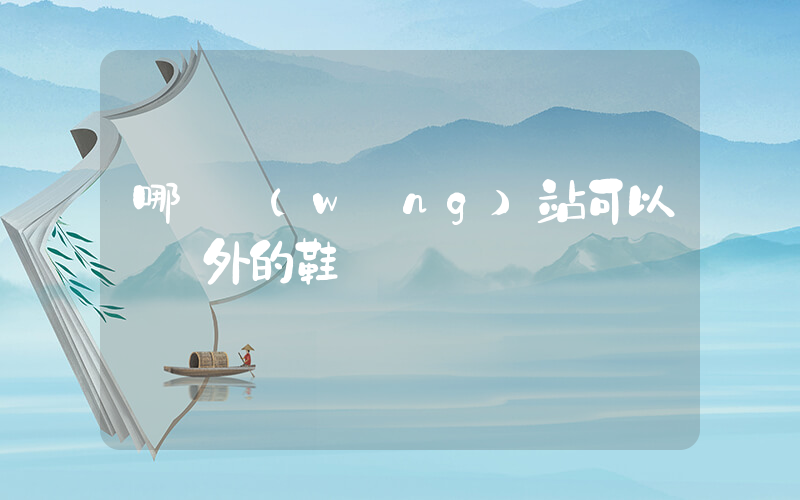 哪個網(wǎng)站可以買國外的鞋插圖