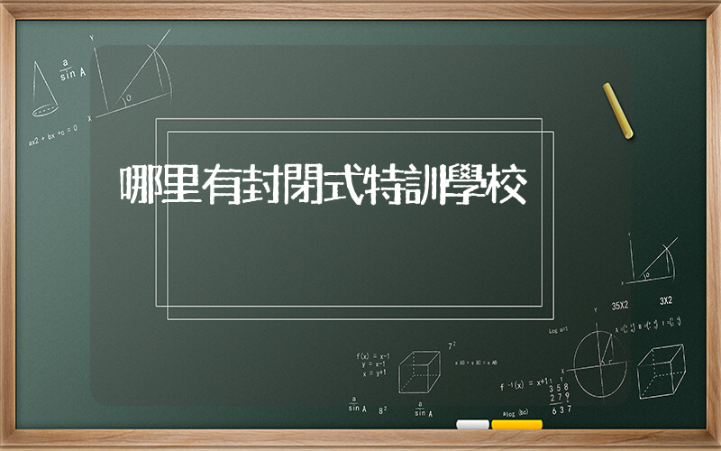 哪里有封閉式特訓學校插圖