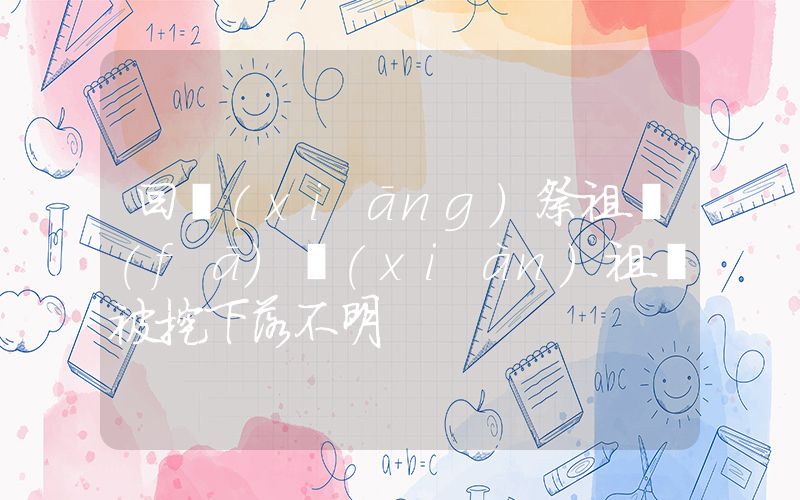 回鄉(xiāng)祭祖發(fā)現(xiàn)祖墳被挖下落不明插圖