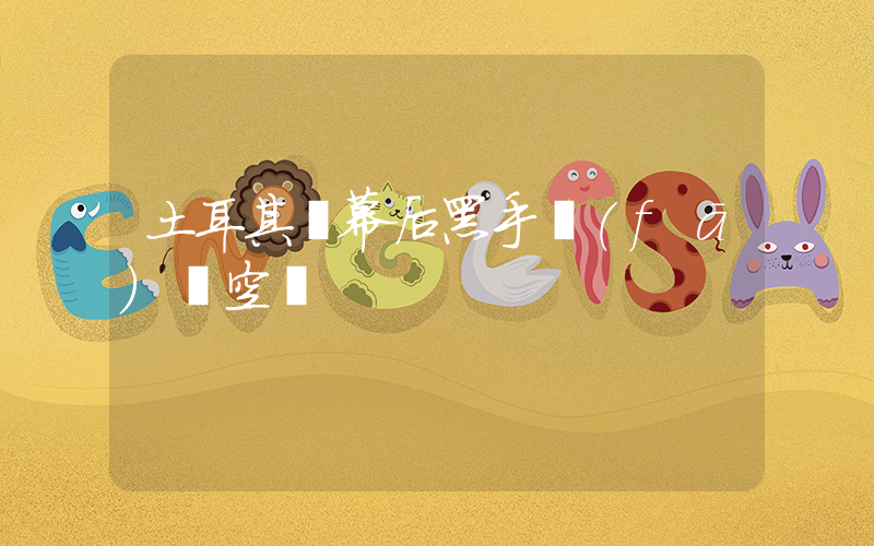 土耳其對幕后黑手發(fā)動空襲插圖