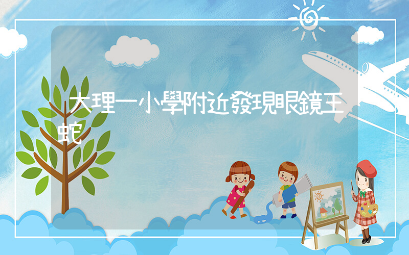 大理一小學附近發現眼鏡王蛇插圖 大理一小學附近發現眼鏡王蛇插圖