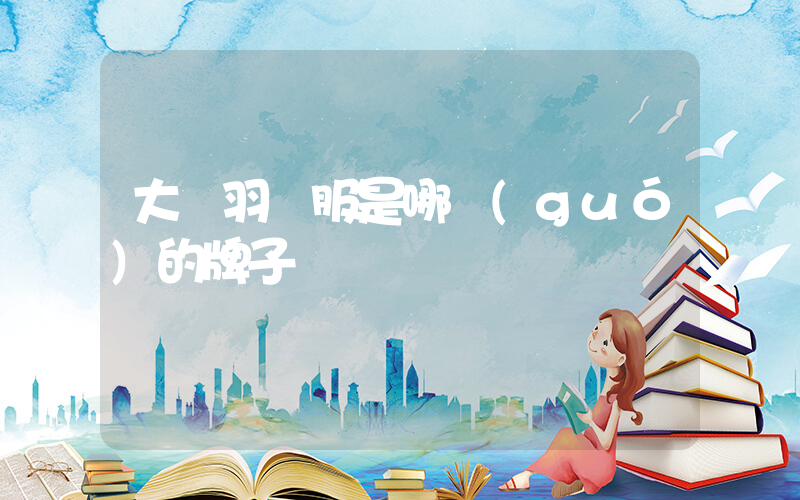 大鵝羽絨服是哪國(guó)的牌子插圖