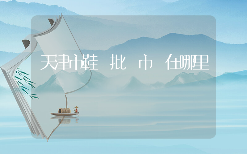 天津市鞋業批發市場在哪里插圖