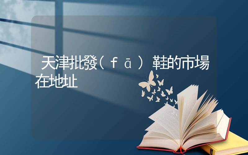 天津批發(fā)鞋的市場在地址插圖