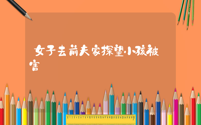 女子去前夫家探望小孩被殺害插圖