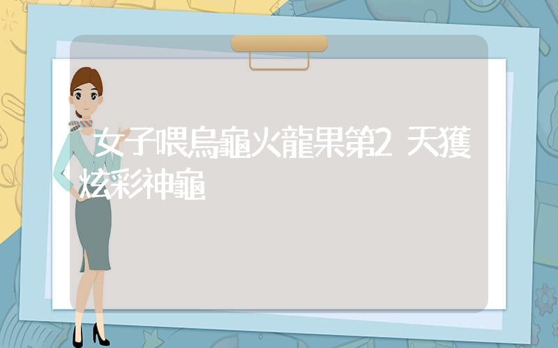 女子喂烏龜火龍果第2天獲炫彩神龜插圖