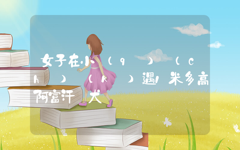 女子在小區(qū)車(chē)庫(kù)遇1米多高阿富汗獵犬插圖