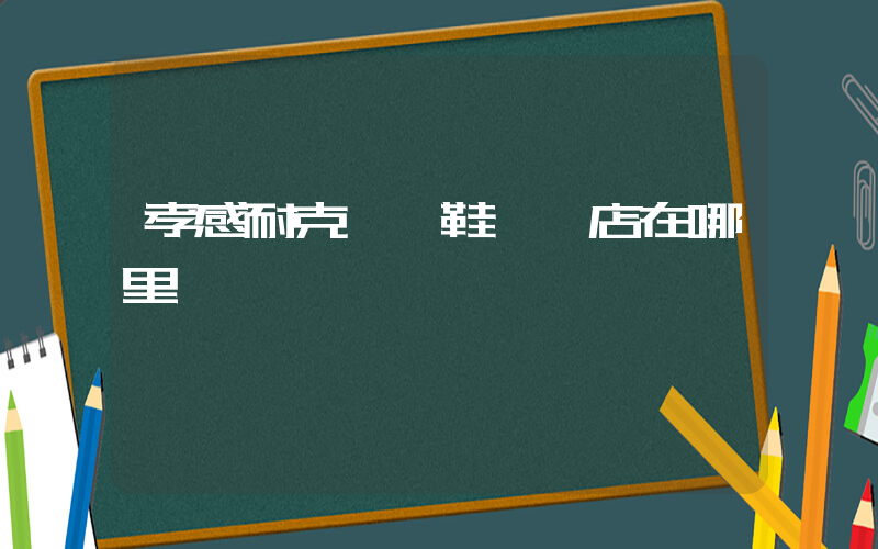 孝感耐克運動鞋專賣店在哪里插圖