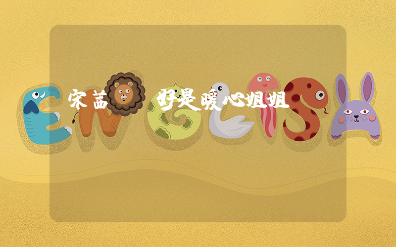 宋茜說陳好是暖心姐姐插圖