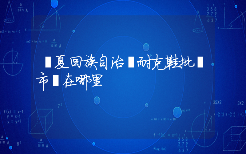 寧夏回族自治區耐克鞋批發市場在哪里插圖