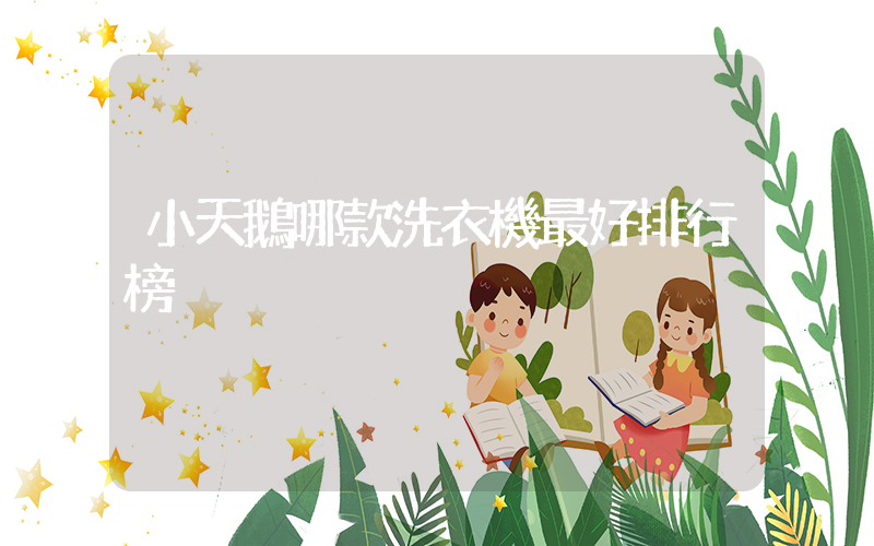 小天鵝哪款洗衣機最好排行榜插圖
