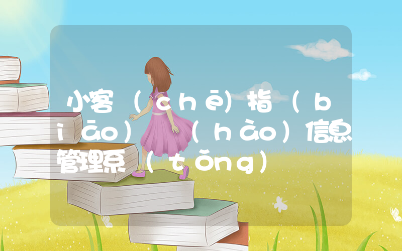 小客車(chē)指標(biāo)搖號(hào)信息管理系統(tǒng)插圖