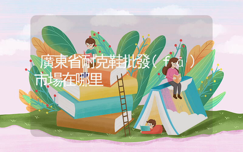 廣東省耐克鞋批發(fā)市場在哪里插圖