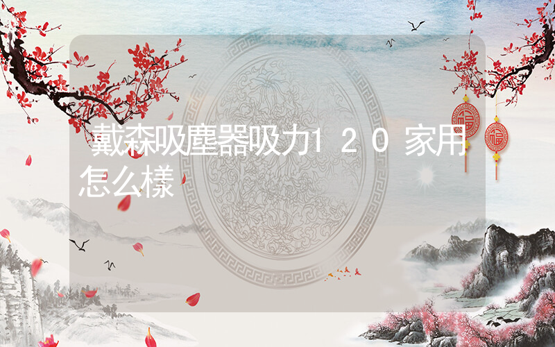 戴森吸塵器吸力120家用怎么樣插圖