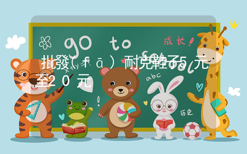 批發(fā)耐克鞋子5元至20元插圖