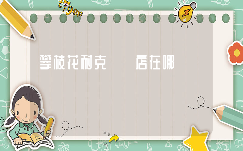 攀枝花耐克專賣店在哪插圖