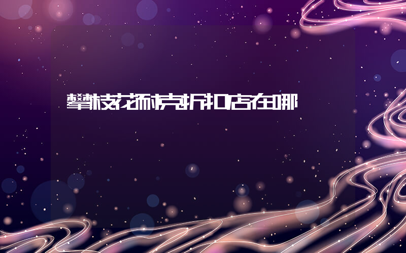 攀枝花耐克折扣店在哪插圖
