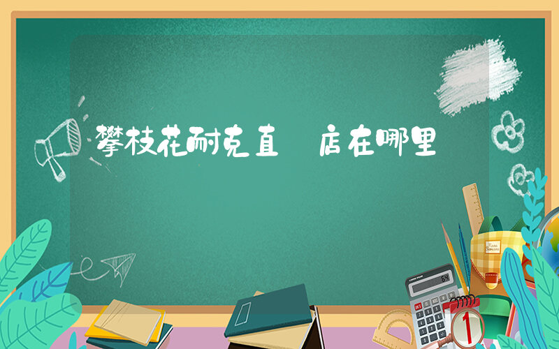 攀枝花耐克直營店在哪里插圖