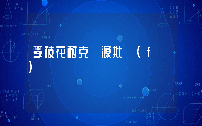 攀枝花耐克貨源批發(fā)插圖