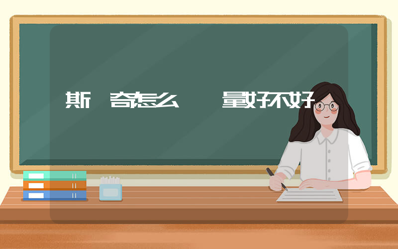 斯凱奇怎么樣質量好不好插圖