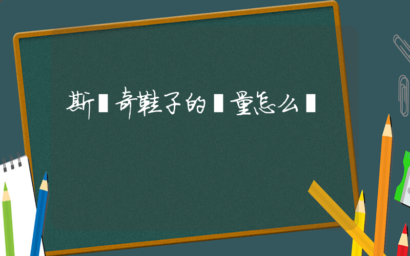 斯凱奇鞋子的質量怎么樣插圖