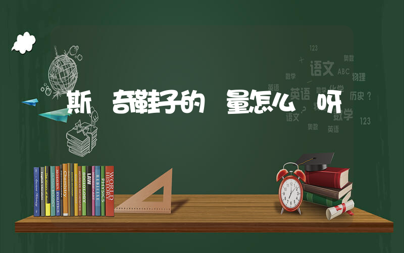 斯凱奇鞋子的質量怎么樣呀插圖