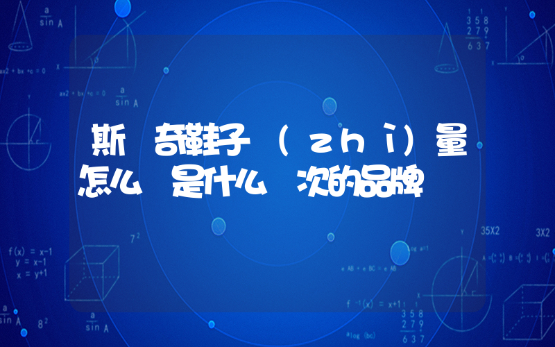斯凱奇鞋子質(zhì)量怎么樣是什么檔次的品牌插圖