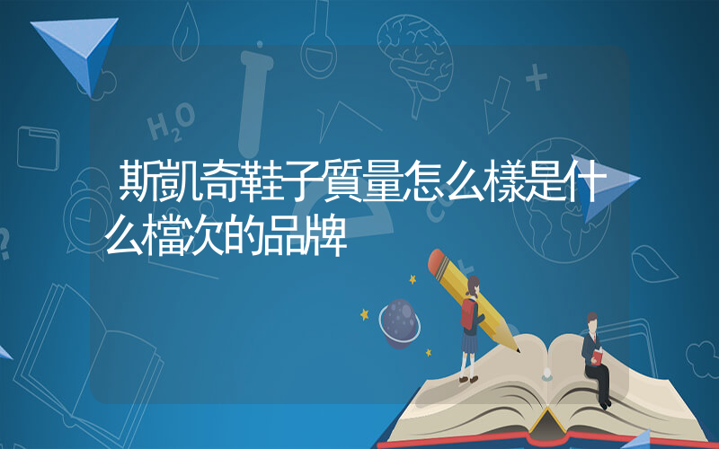 斯凱奇鞋子質量怎么樣是什么檔次的品牌插圖