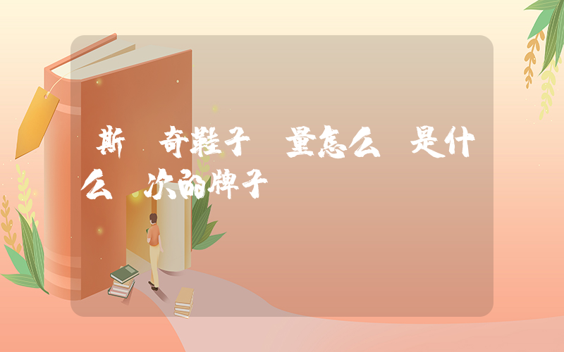 斯凱奇鞋子質量怎么樣是什么檔次的牌子插圖