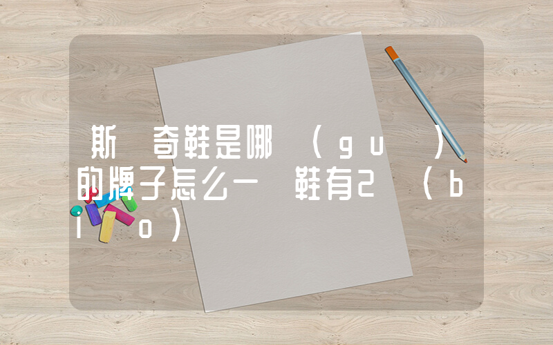 斯凱奇鞋是哪國(guó)的牌子怎么一雙鞋有2標(biāo)碼插圖