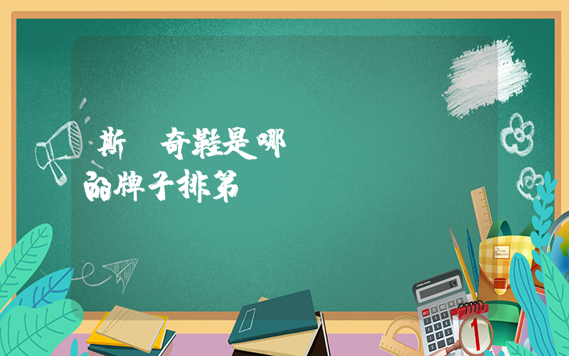 斯凱奇鞋是哪國(guó)的牌子排第幾插圖