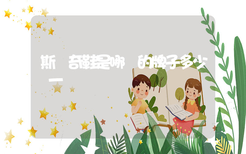 斯凱奇鞋是哪國的牌子多少錢一雙插圖